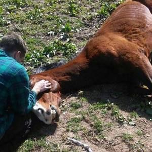 Meet your Posher, Randy